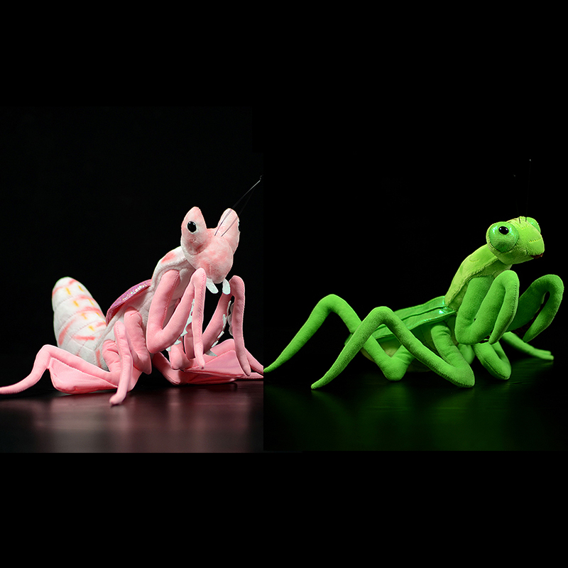Orchid Kids Education - Cute Realistic Pink Orchid Mantis Plush