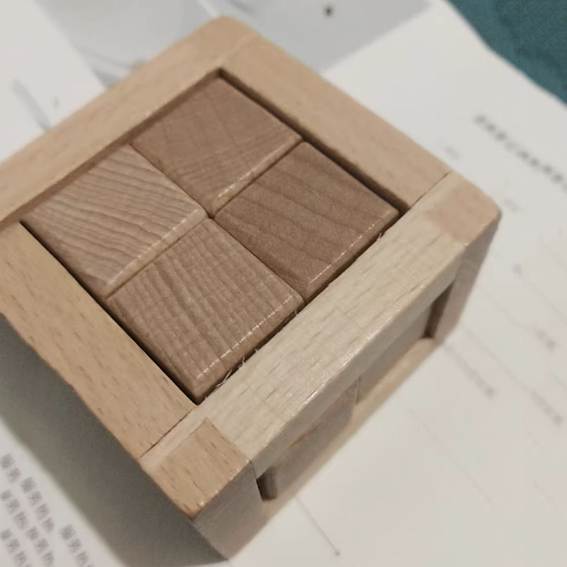 Brain Teaser Cube - Educational Disentanglement Toys Interlocking Puzzle Cube