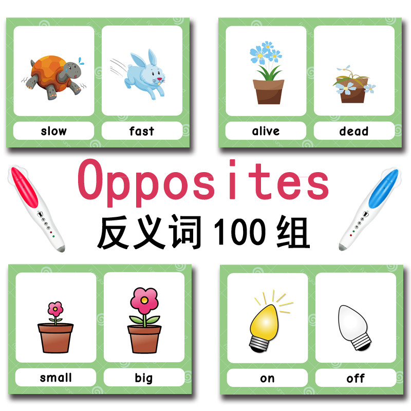 The 100 Groups Opposites Flash - Kids Education Age ulasan dan harga