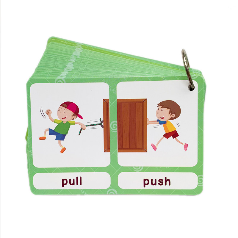 The 100 Groups Opposites Flash - Kids Education Age ulasan dan harga