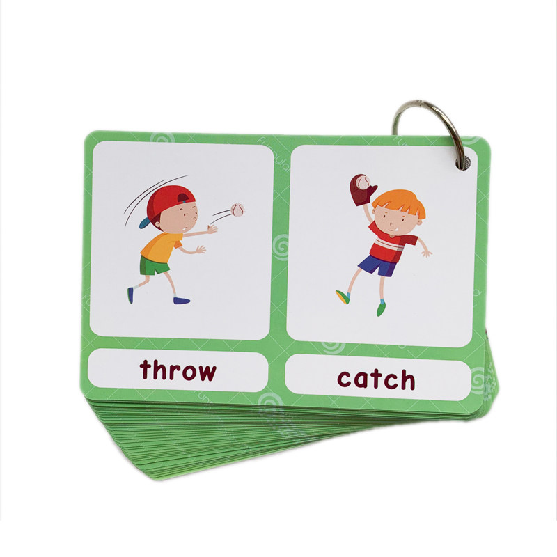 The 100 Groups Opposites Flash - Kids Education Age ulasan dan harga
