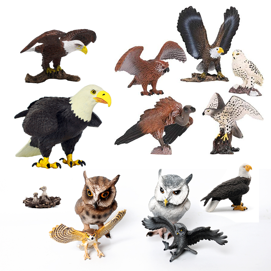 Realistic Plastic Birds of Pre - Kids Education Shows ulasan dan harga