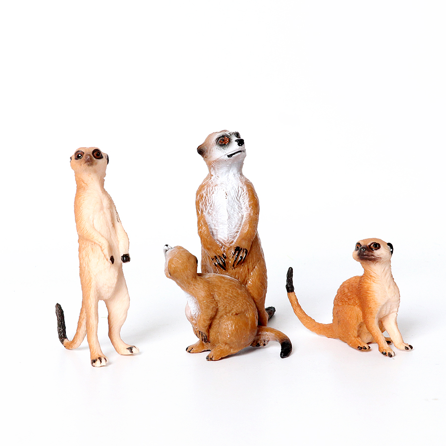 Realistic Woodland Creatures F - Kids Education Shows ulasan dan harga