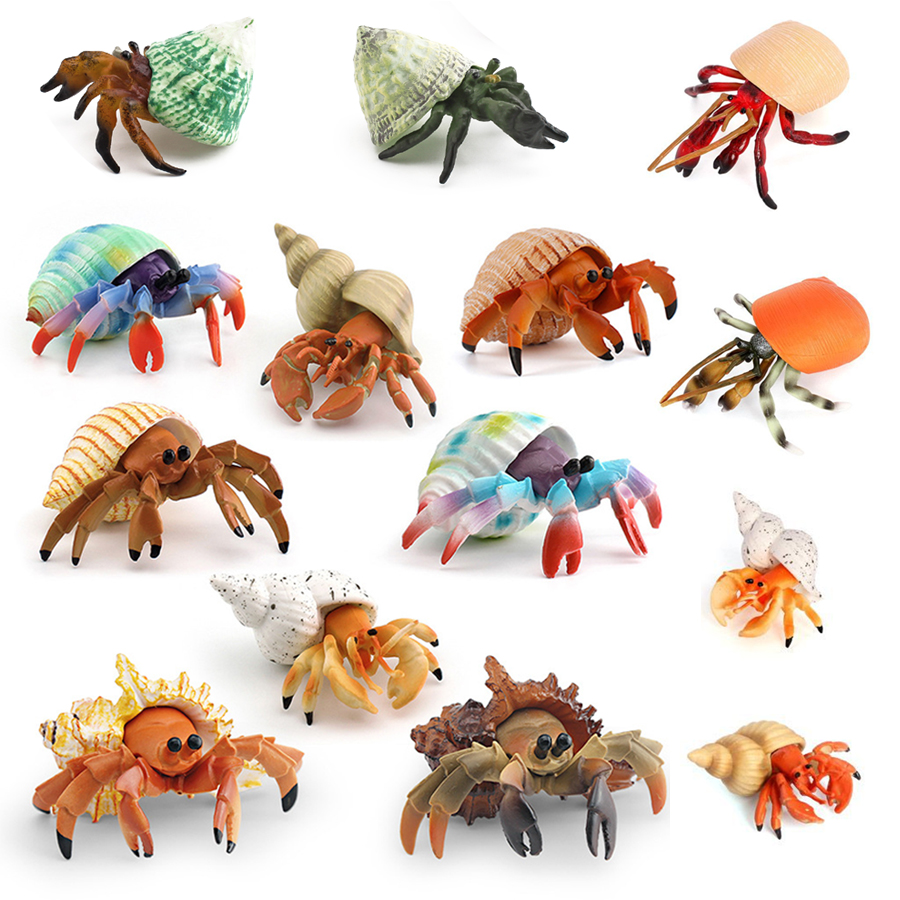 Realistic Hermit Crab Figurine - Kids Educational Game ulasan dan harga