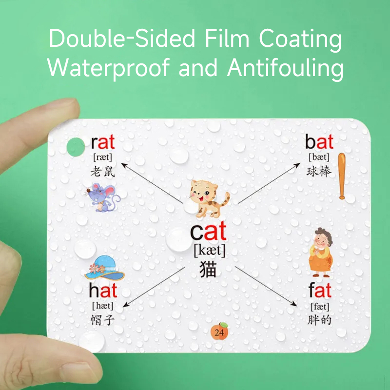 600 Words Mind Map Cards with  - Kids Education Words ulasan dan harga