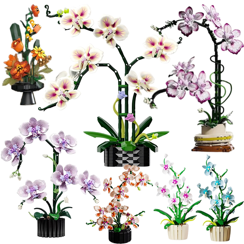 Orchid Potted Plants Simulatio - Orchid Kids Education ulasan dan harga