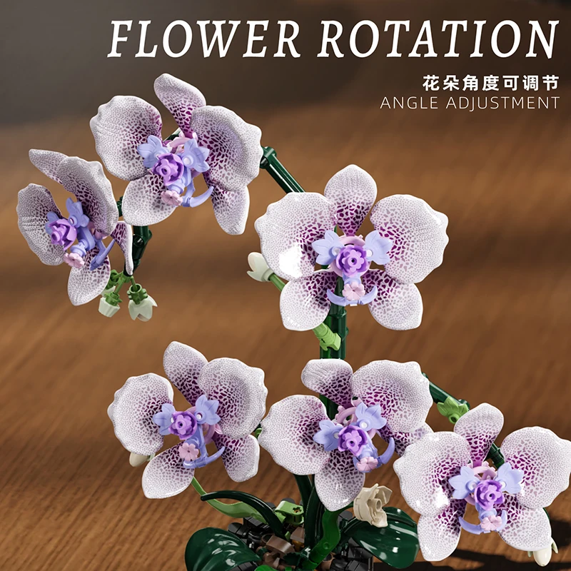 Orchid Potted Plants Simulatio - Orchid Kids Education ulasan dan harga