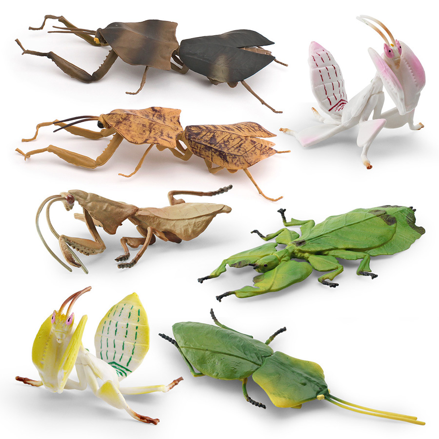 Realistic Orchid Mantis Dead L - Kids Educational Game ulasan dan harga