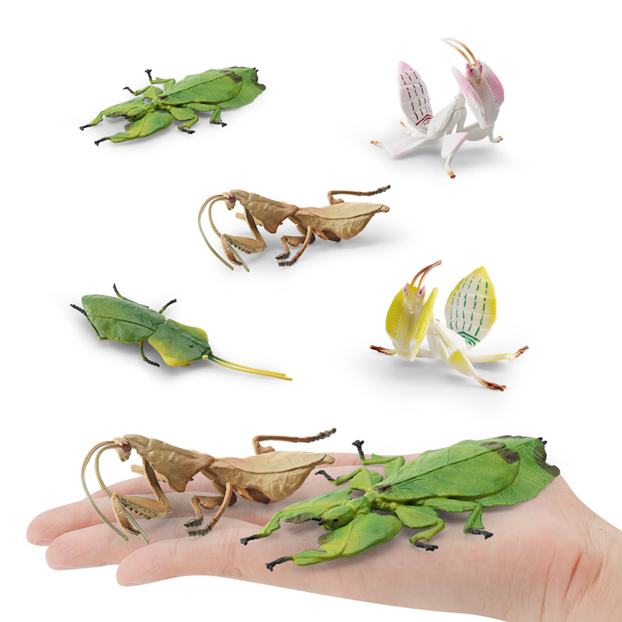 Realistic Orchid Mantis Dead L - Kids Educational Game ulasan dan harga