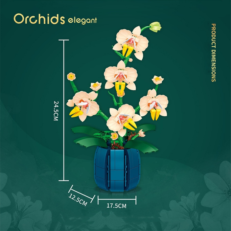 Bouquet Potted Orchid Building - Orchid Kids Education ulasan dan harga